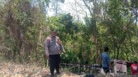 IMG-20260812-WA0003